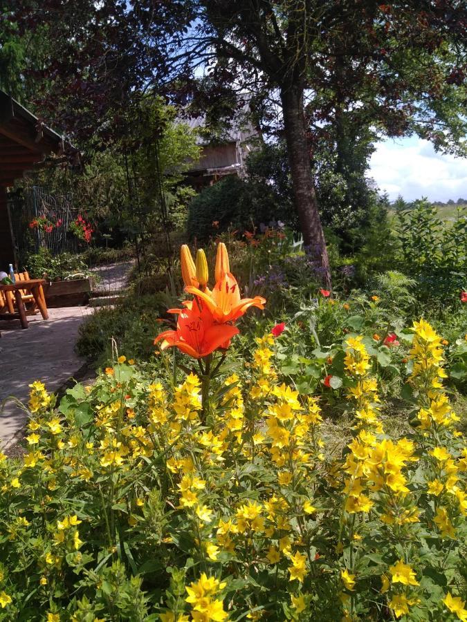 Chalet Le Paradou Adults Only Lessive 外观 照片