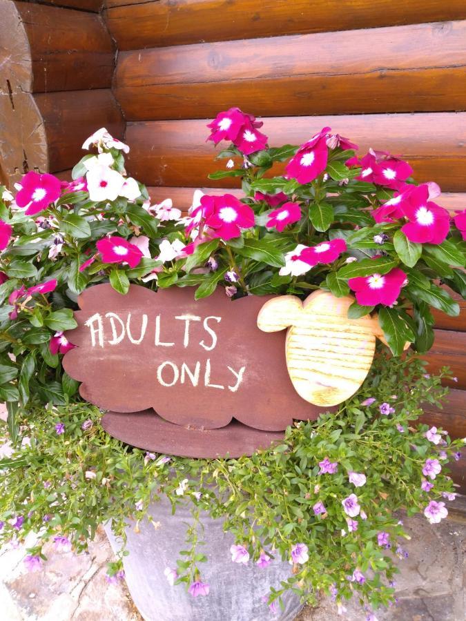 Chalet Le Paradou Adults Only Lessive 外观 照片
